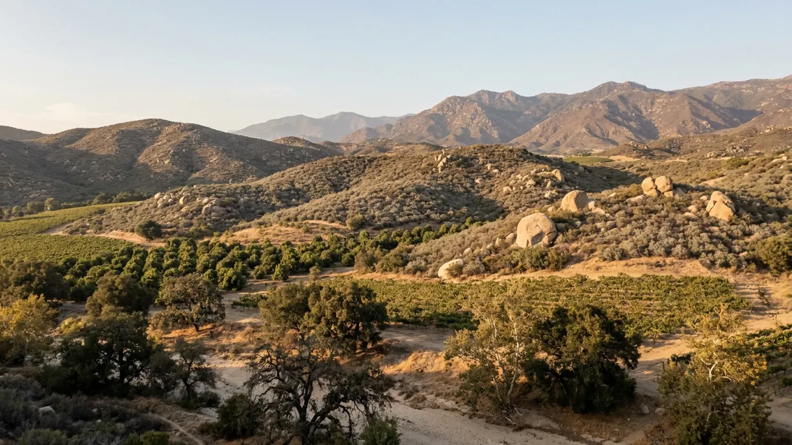 A rural inland Southern California valley with vineyards and an avocado grove, chaparral hills with granite boulders and oaks along a dry creek bed.